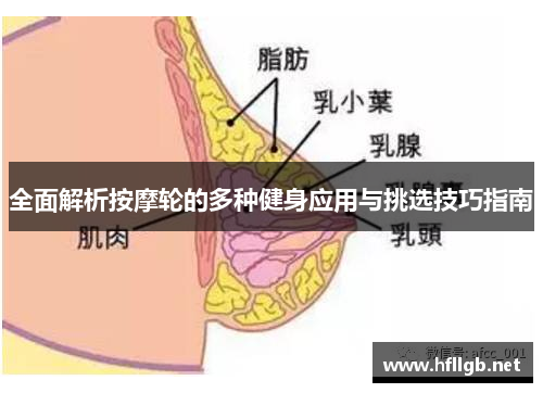 全面解析按摩轮的多种健身应用与挑选技巧指南