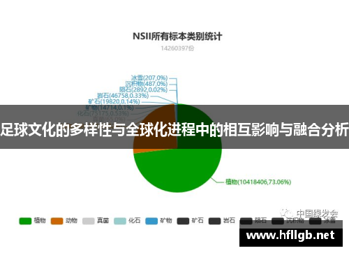 足球文化的多样性与全球化进程中的相互影响与融合分析